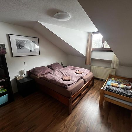 Family Apartment Sumava Bayerisch Eisenstein Kültér fotó
